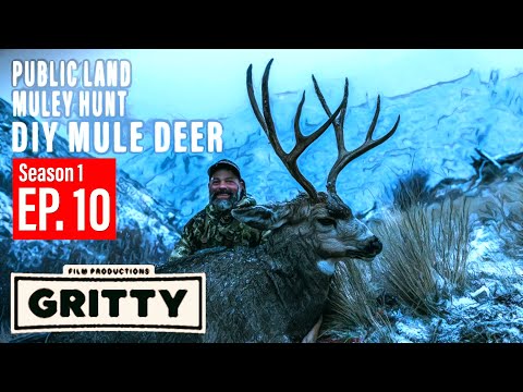 SEASON 1 | EP 10 | MULE DEER | GRITTY FILMS