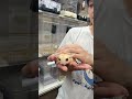 フクロモモンガ （国内CB）販売｜東京都大田区のエキゾチックアニマル専門店ピュア☆アニマルのYouTubeサムネイル画像