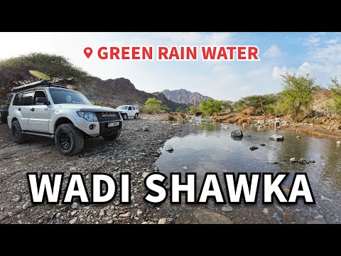 Wadi Shawka Green Rain water Lake #adventure #wadishawka #rasalkhaimah #camper #offroad #overland