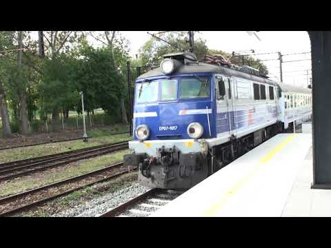 Pociągi na stacji Piła Główna |14.09.2019|