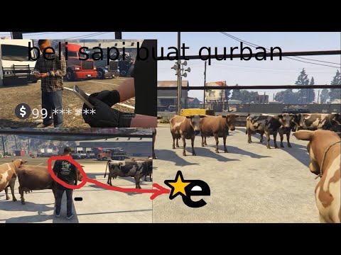 beli sapi kurban di gta 5