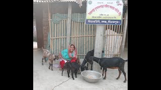 BRDB-র সফল উপকারভোগীর প্রামাণ্যচিত্র-২ (কলসুমা খাতুন)