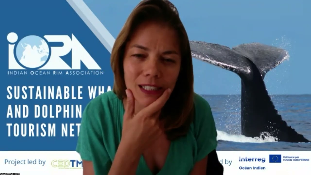3rd “Whale O’clock” webinar on Encouraging Observation from the Shore with the Balèn Terla App
