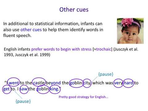 Acquisition of Language 2: Lexical Stress Cues for Speech Segmentation