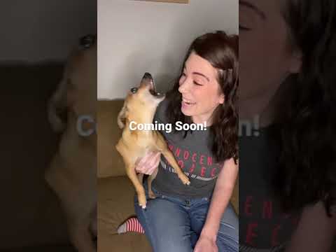 The Casper and Pam Program