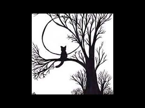 04. stream_error - I was chasing a firefly to light...