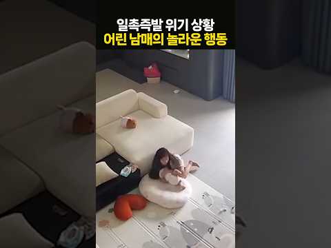 일촉즉발 위기 상황···어린 남매의 놀라운 행동