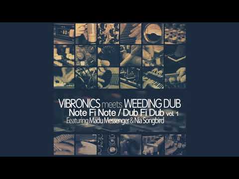 Vibronics meets Weeding Dub ‎–Never Lie Dub