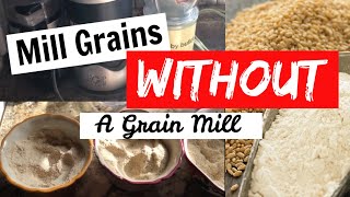 Milling grains without a grain mill: coffee grinder, Nutri Bullet, Baby Bullet comparison