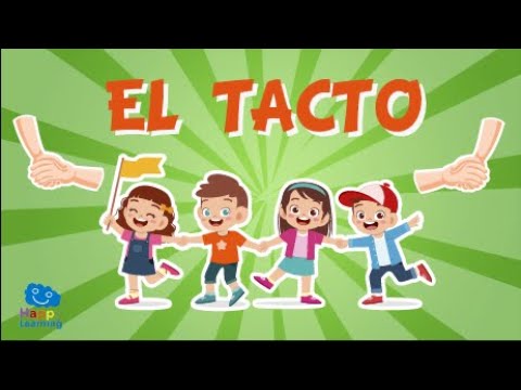 EL TACTO 🤲 LOS 5 SENTIDOS | Vídeos educativos para niños