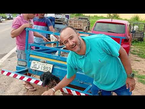 Feira de campos Sales ceará 