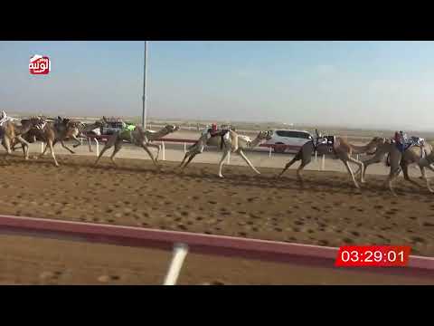 ش 8 (سلاب) لـ سهيل سالم سليم اسود العامري 7:43:35 ، شارة الديوان 2026/10/25 إيذاع الوقن