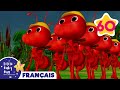 Les Fourmis Marchent Comptines Et Chansons Pour Bébés Little Baby Bum En Français