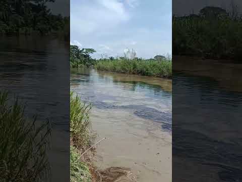 Derrame de petróleo en el río Portuguesa | Rotura de oleoducto Pdvsa