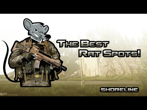 Best Rat Spots on Shoreline! | Escape from Tarkov