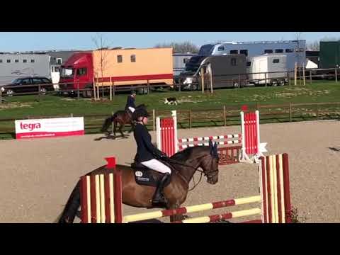 HENGSTSTATION MAAS J. HELL - CASSELOT