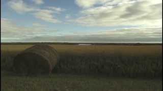 Stompin' Tom Connors:  Roll On Saskatchewan!