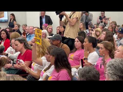 Women escorted out of Tennessee committee hearing because of small anti-gun sign
