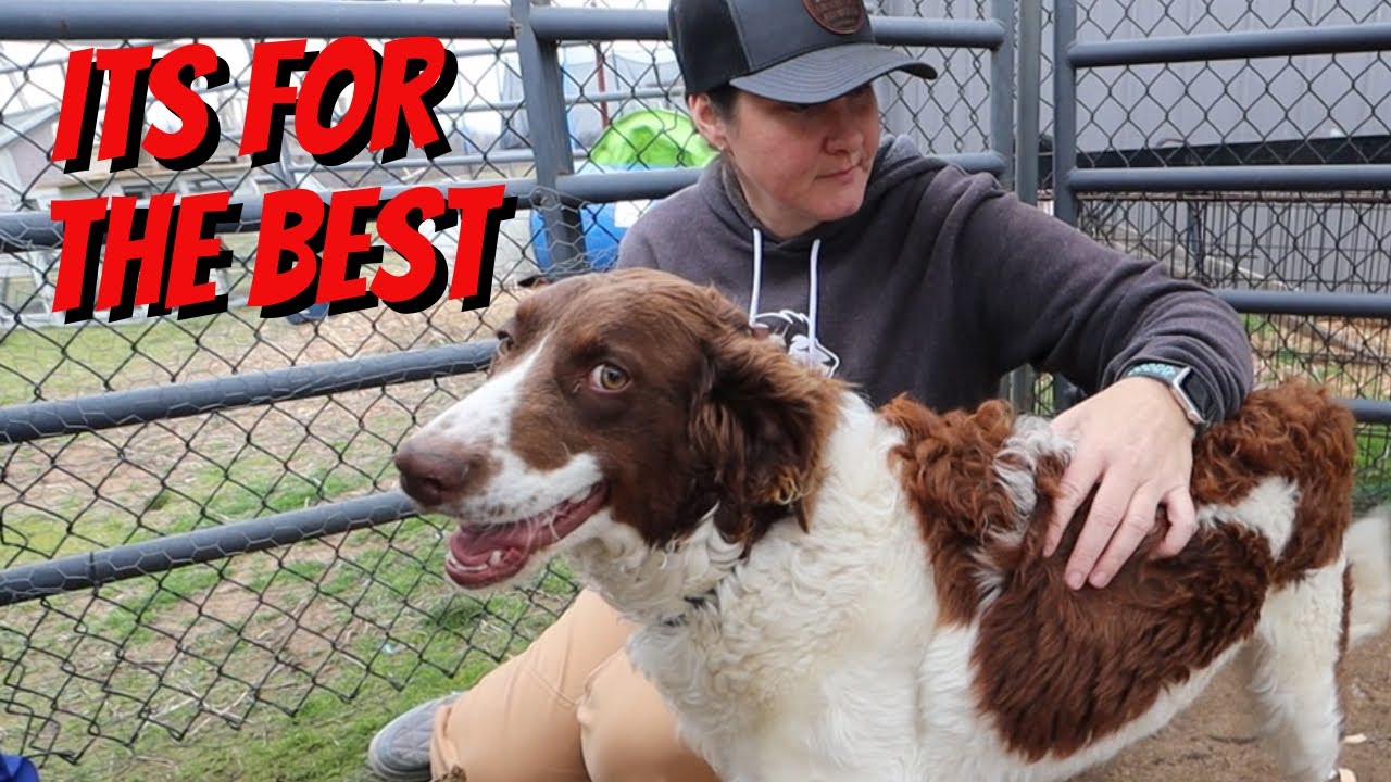 Hard Decision For Our Homestead