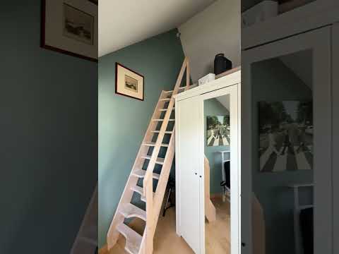 Vidéo