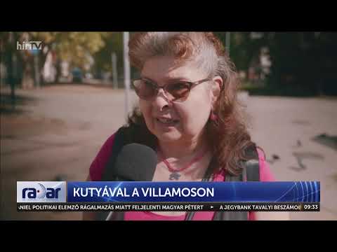 Kutyával a villamoson - HírTV