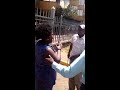 Nairobi Women