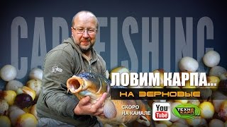 Ловля карпа на зерновые насадки