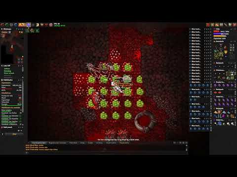 Best things of hunting with Mage Medivia Online