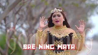 Download lagu AYAM LANANG Versi karaoke Joss mp3 Download lagu AYAM LANANG Versi karaoke Joss mp3