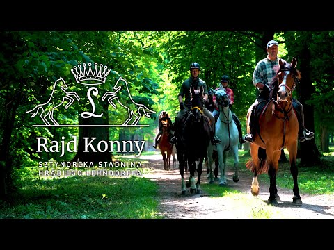 Ausritt Gestut Sztynort des Grafen Lehndorff 4K