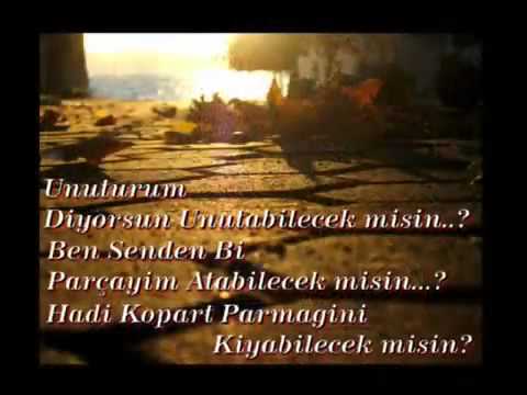 hergele aytan meyhaneci.flv