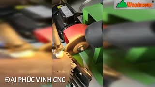 MÁY MÀI LƯỠI CƯA ĐĨA HỢP KIM TỰ ĐỘNG BẺ ĐỘ Tốt nhất thị trường vn 2020