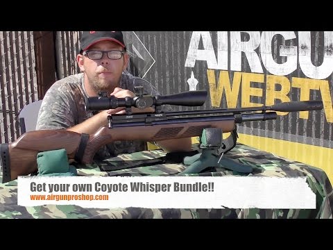 Gamo Coyote Whisper .177 Caliber PCP - Amazing out of the box PCP airgun!