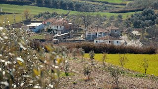 Altin Myftari - Moku Dhe Shokët E Tij