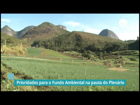 Prioridades para o Fundo Ambiental na pauta do Plenário - 18/01/22