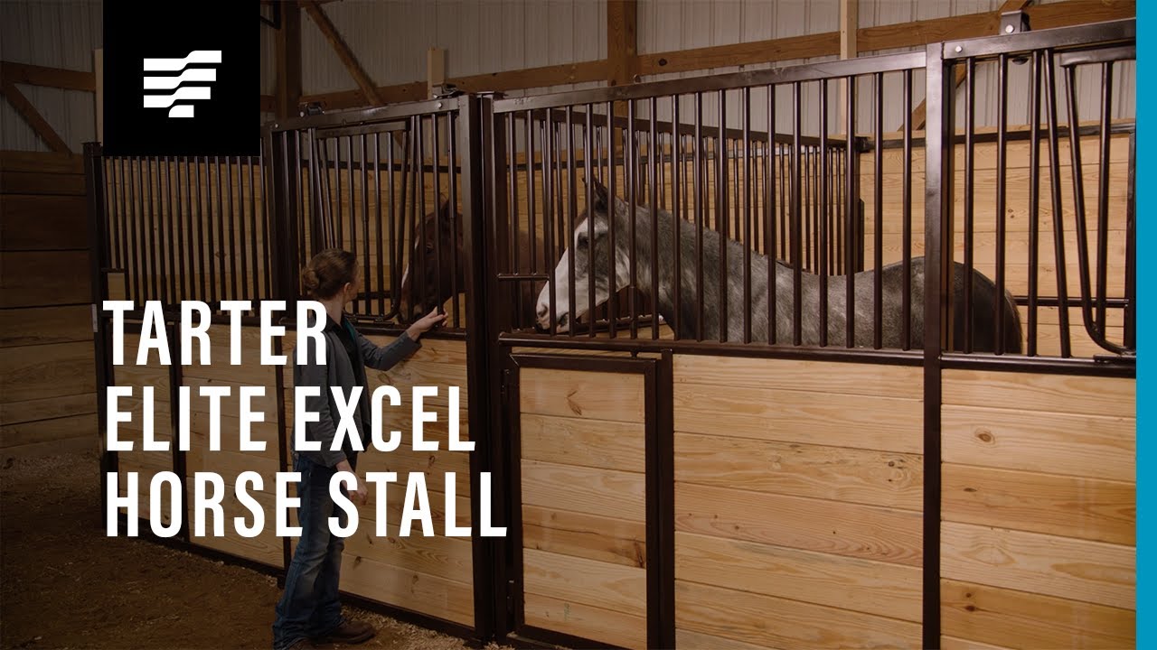 Tarter’s Elite Excel Horse Stall front on white.