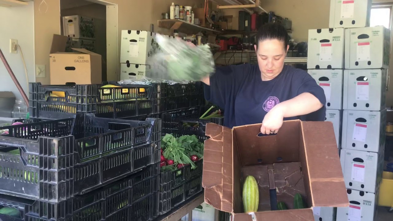 A tour of the packing process for our farm Share csa boxes