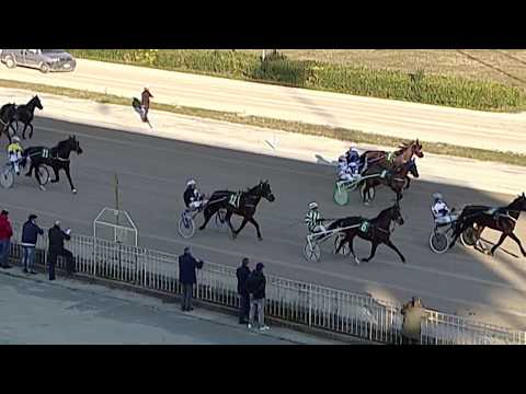 Aversa trotto 15 Gennaio 2020 - 1° Corsa