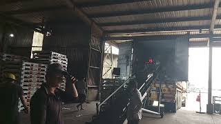 MV CT383- OCGU2078801