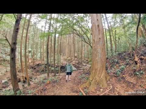 Hiking the Hajikami-toge Pass on the Historic Kumano Kodo Pilgrimage Trails