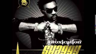 Shaggy - All About Love