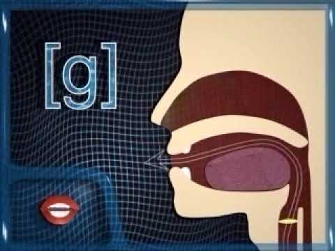 Learn Chinese  pronunciation --g (ge)
