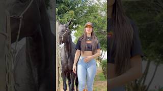 #shortsfeed #piadascurtas #cavalo #piadasrapidas #shortvideo #shortsviral #shortsyoutube #humor