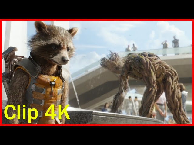 Vídeo relacionado con Marvel Guardianes de la Galaxia: Rocket & Groot cumple 16 años Sudadera