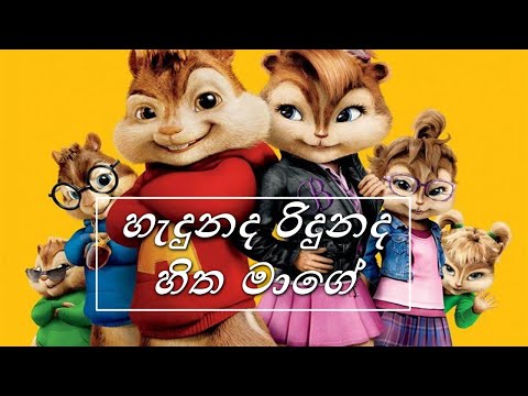 Hadunada Ridunada (හැදුනද රිදුනද​ හිත මාගේ) Song / Chipmunks Version - Dinesh Tharanga X Skay Jay