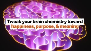 Tweak your brain chemistry toward happiness, purpose, meaning | Jillian Michaels
