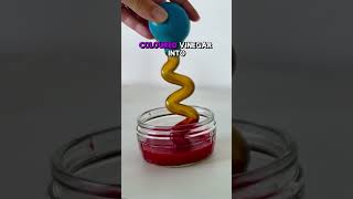 How to Make a Lava Lamp for Kids | Easy Science at Home