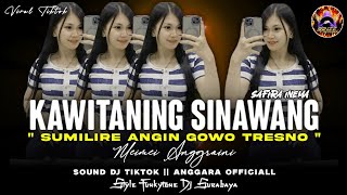 Download lagu FUNKOT KAWITANING SINAWANG | SUMILIRE ANGIN GOWO TRESNO | STYLE FUNKYTONE DJ || BY MEIMEI ANGGRAINI mp3