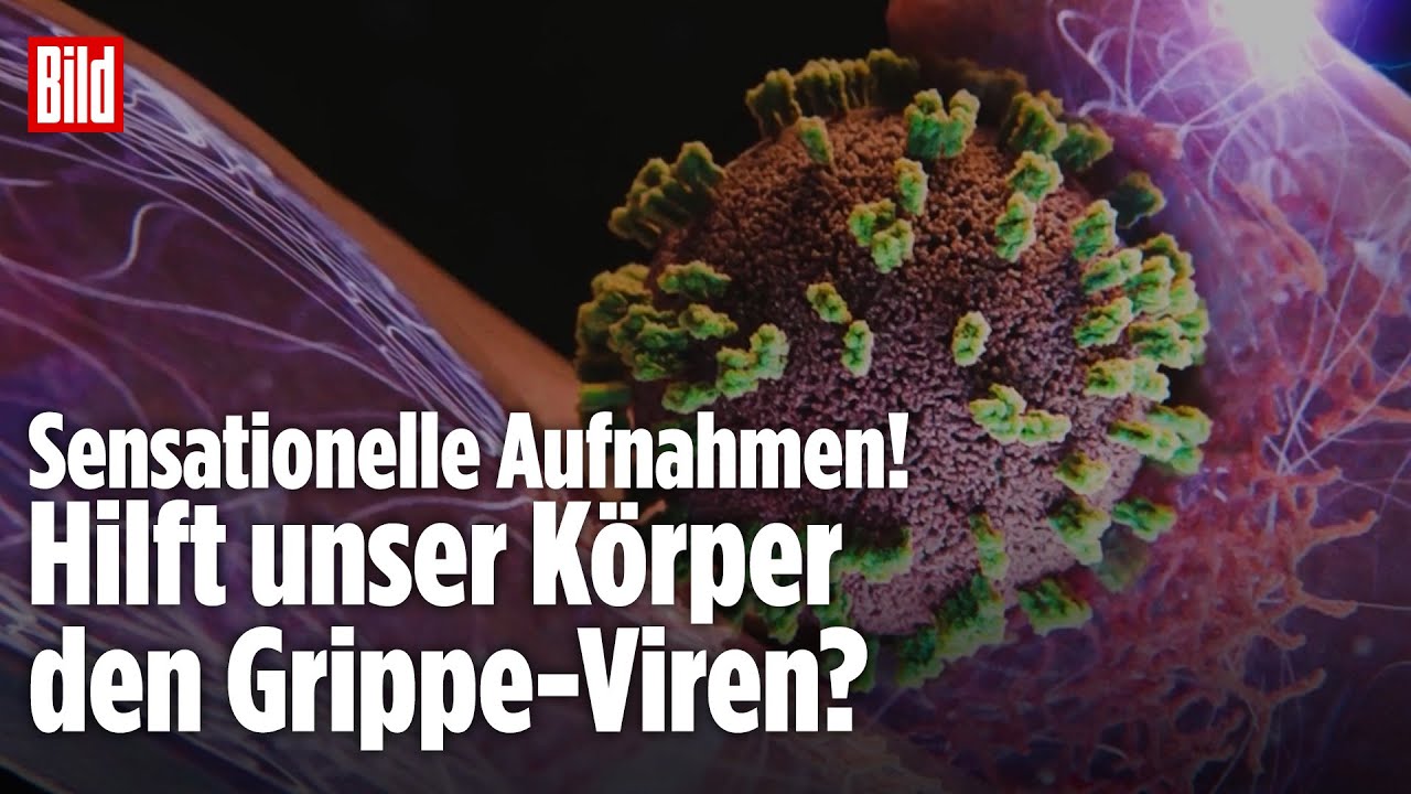 REVOLUTION IN DER GRIPPE-FORSCHUNG: So dringen Viren in unseren Körper ein!