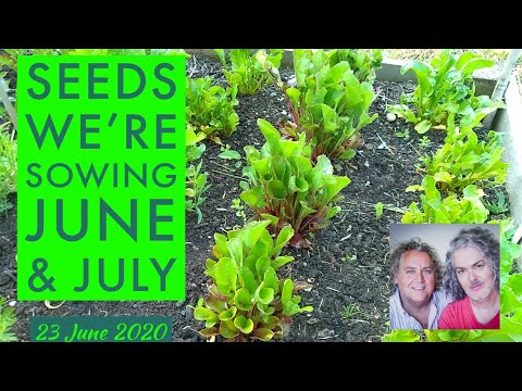 , title : 'Seeds we're sowing in June & July.  With Paul.  23 June 2020'